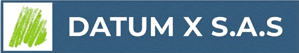 DATUM X S.A.S